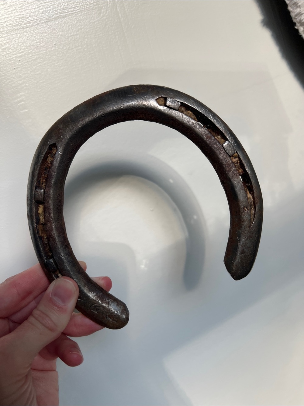 Classic Vintage Horseshoe